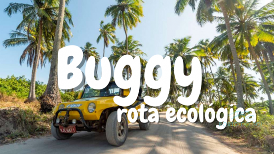 Rota Ecol&oacute;gica dos Milagres - Buggy