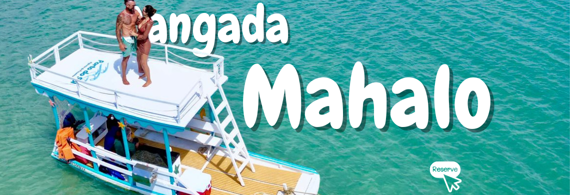 Vitrine Jangada Mahalo